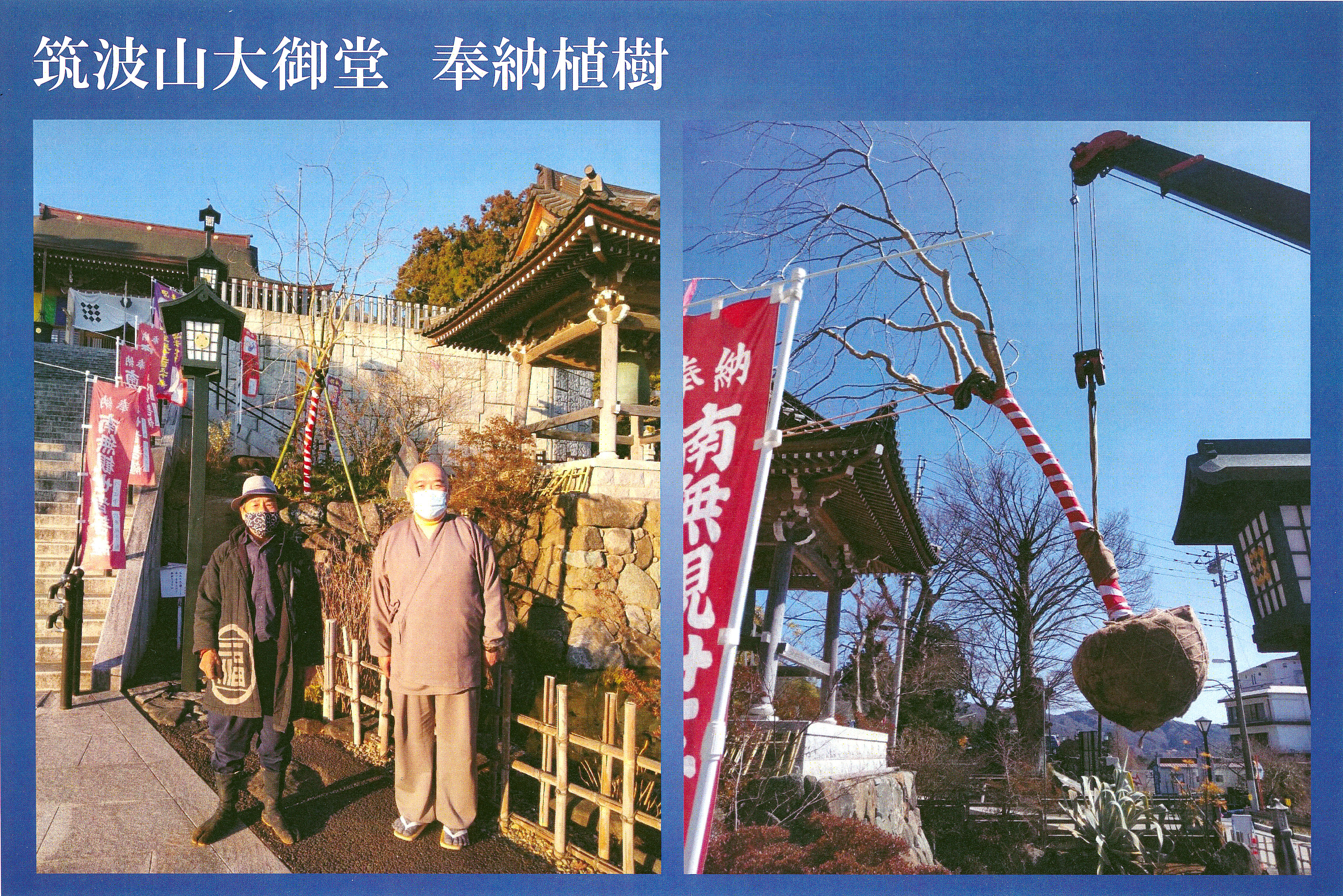 筑波山大御堂　奉納植樹
