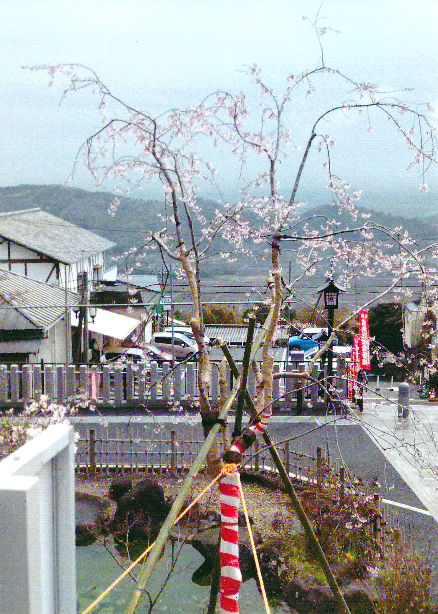 筑波山大御堂